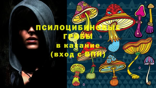ешки Бородино