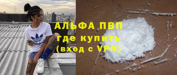 ГАЛЛЮЦИНОГЕННЫЕ ГРИБЫ Рославль
