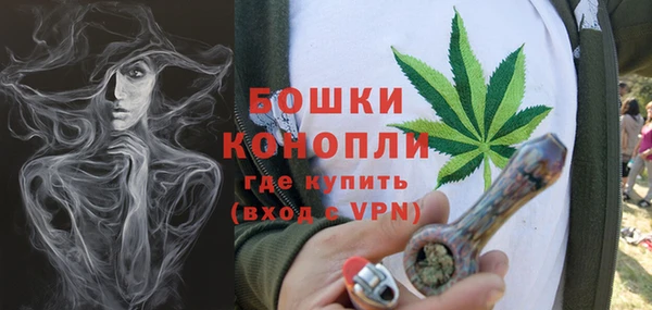 ешки Бородино