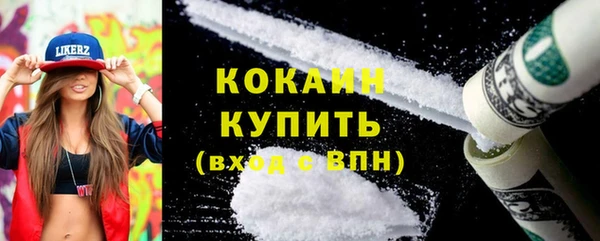 ешки Бородино