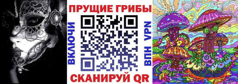 Псилоцибиновые грибы Psilocybe  Туран 