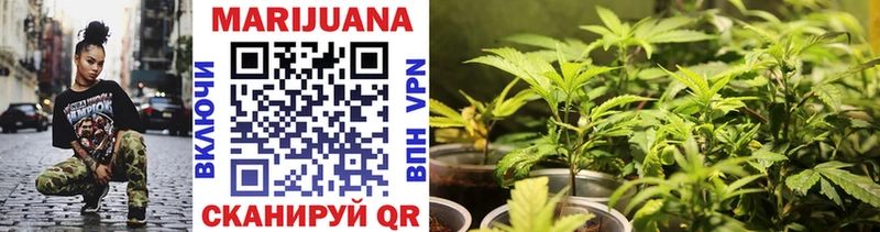 где найти   Туран  Бошки марихуана OG Kush 